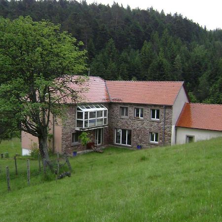 Gite Gretel De La Ferme Du Schneeberg Wangenbourg-Engenthal Bagian luar foto