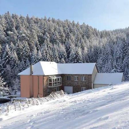 Gite Gretel De La Ferme Du Schneeberg Wangenbourg-Engenthal Bagian luar foto