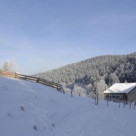 Gite Gretel De La Ferme Du Schneeberg Wangenbourg-Engenthal Bagian luar foto