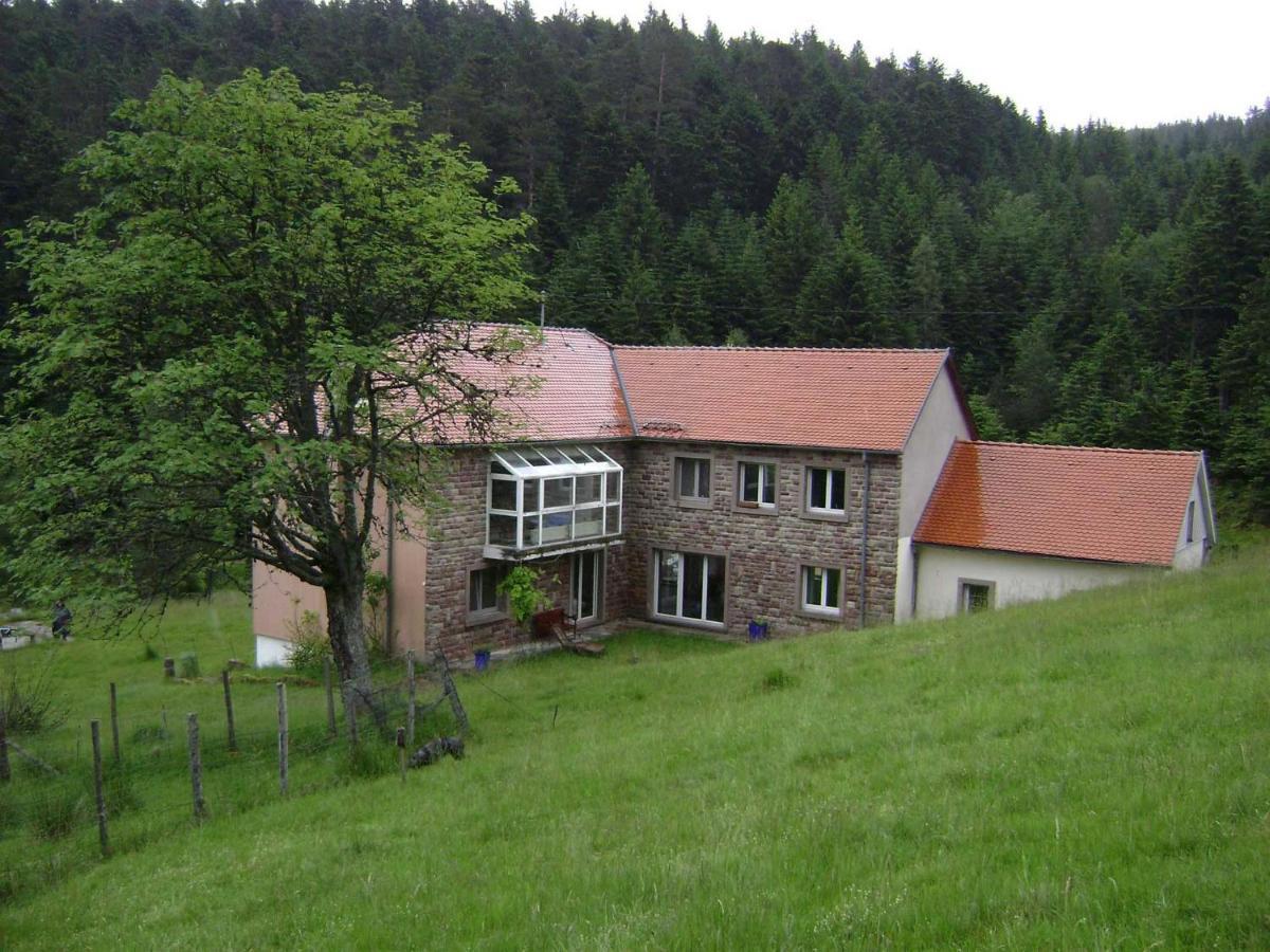 Gite Gretel De La Ferme Du Schneeberg Wangenbourg-Engenthal Bagian luar foto