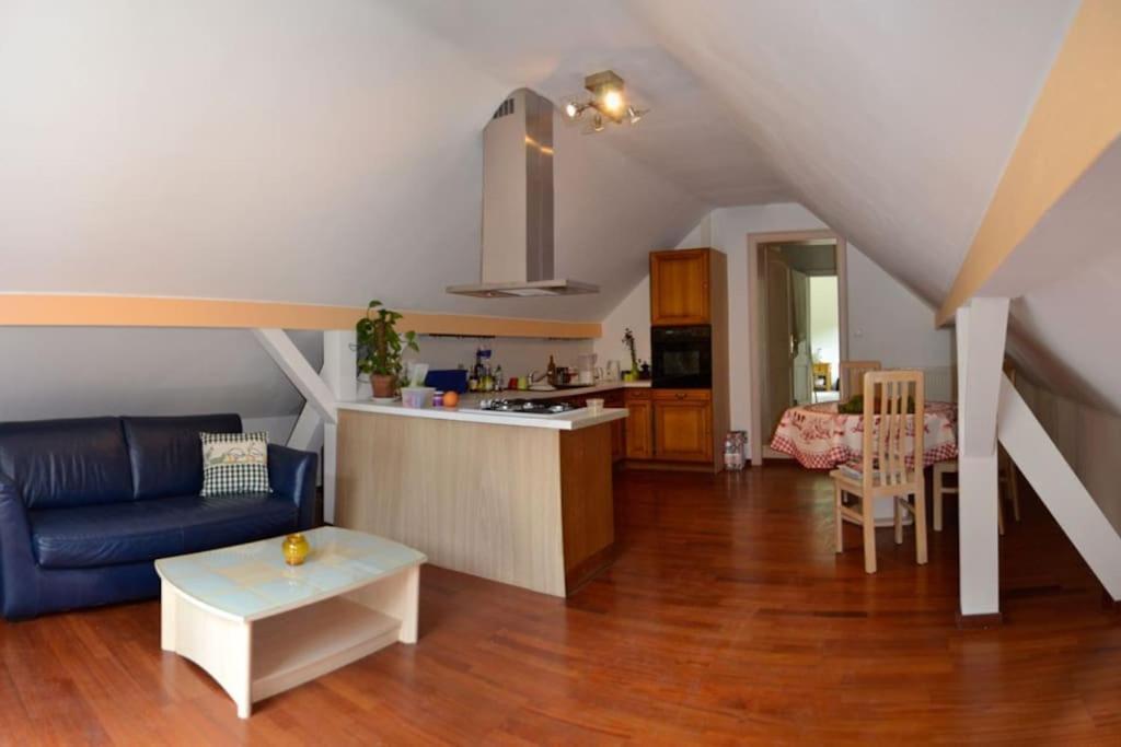 Gite Gretel De La Ferme Du Schneeberg Wangenbourg-Engenthal Bagian luar foto