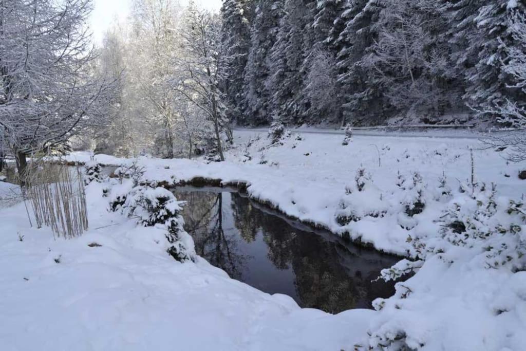Gite Gretel De La Ferme Du Schneeberg Wangenbourg-Engenthal Bagian luar foto