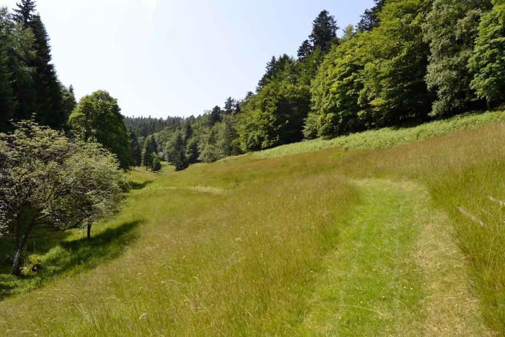 Gite Gretel De La Ferme Du Schneeberg Wangenbourg-Engenthal Bagian luar foto