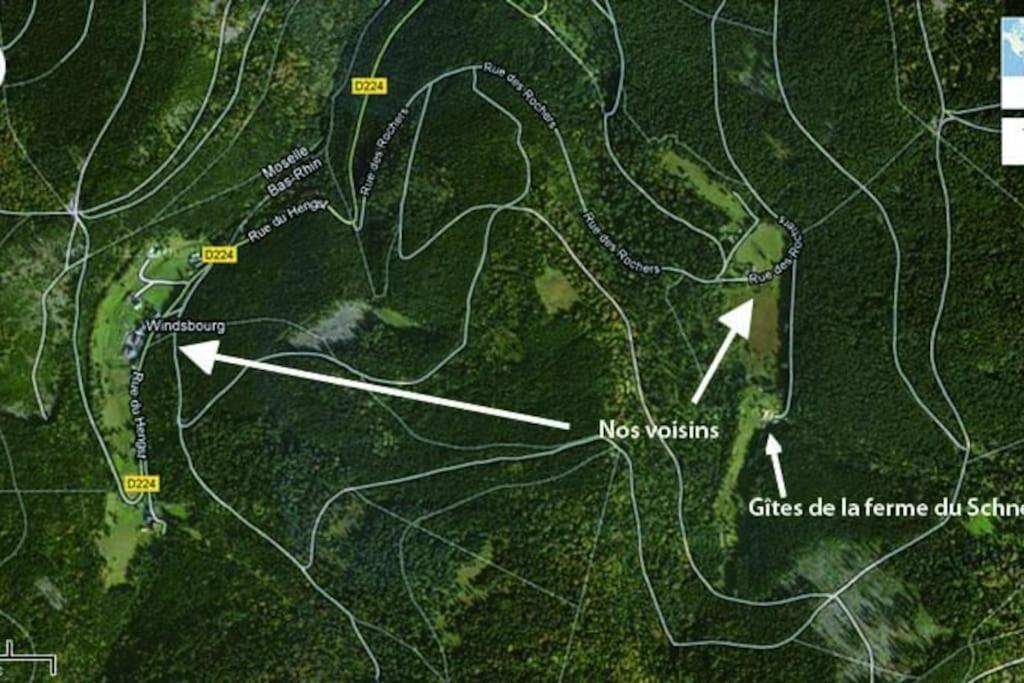 Gite Gretel De La Ferme Du Schneeberg Wangenbourg-Engenthal Bagian luar foto