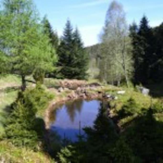 Gite Gretel De La Ferme Du Schneeberg Wangenbourg-Engenthal Bagian luar foto